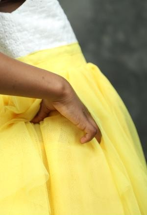 Fancy Tulle Dress