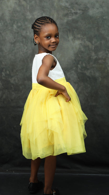 Fancy Tulle Dress