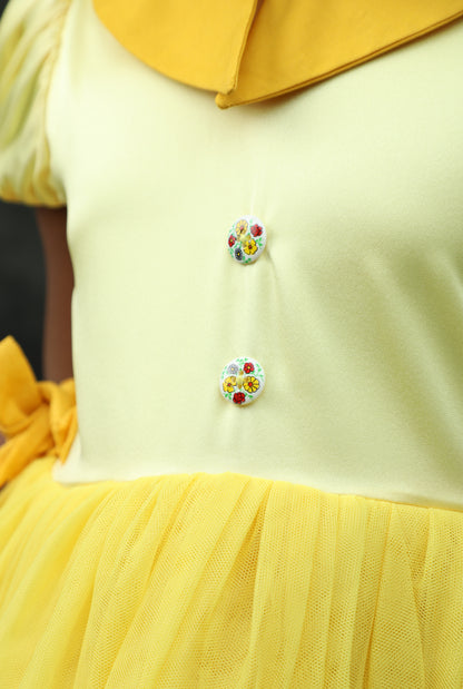 Fancy Dress with Collar
