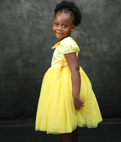 Elegant Fancy Tulle Dress
