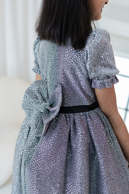 Silver Sequins Dress