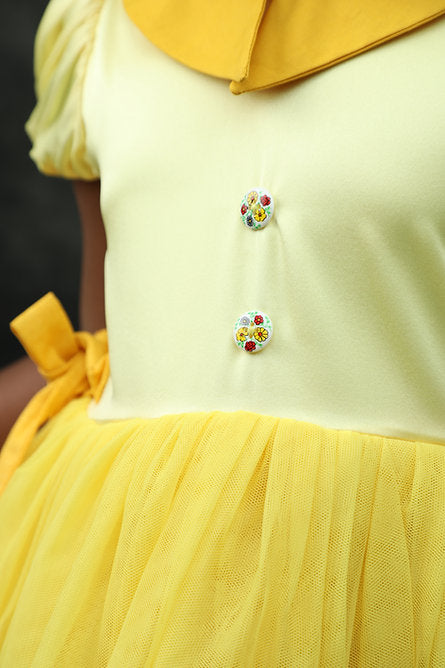 Elegant Fancy Tulle Dress