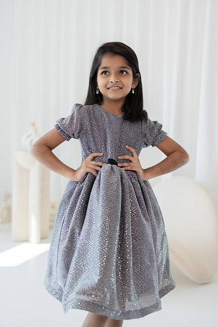 Silver Sequins Dress