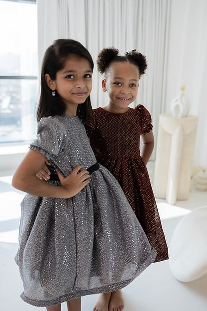 Silver Sequins Dress