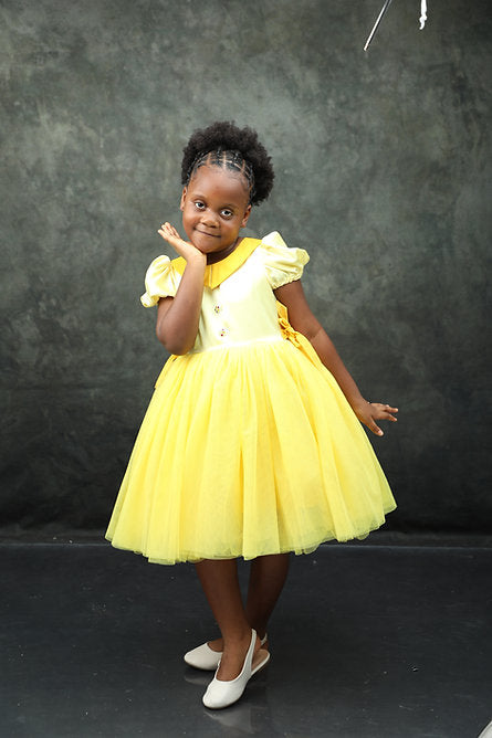 Elegant Fancy Tulle Dress