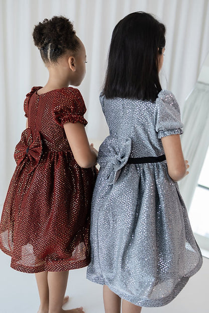 Silver Sequins Dress
