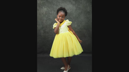 Elegant Fancy Tulle Dress